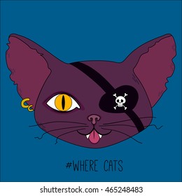 Cute pirate cat head with one yellow eye on dark blue background. Vector flat illustration.