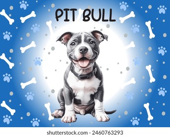 lindo pitbull sentado en el suelo con fondo azul y huesos, huella de pie.