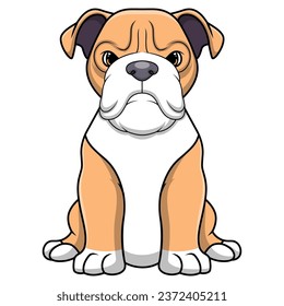 Cute pitbull cartoon on white background