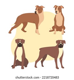 Cute pitbull dog and boxer dog, Stock Photos dan Vectors design