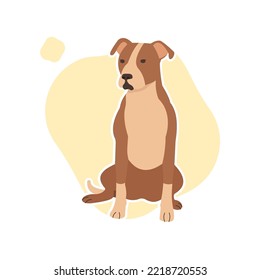 Cute Pitbull Dog Isolated Vector Image