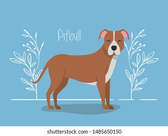 cute pitbull dog pet character