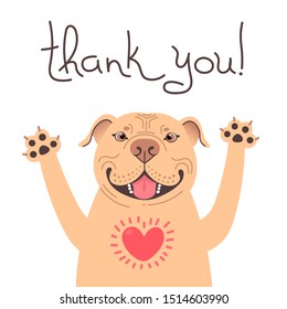 Cute Pitbull dog says thank you. American Staffordshire Pit Bull Terrier with heart full of gratitude. Vector illustration.