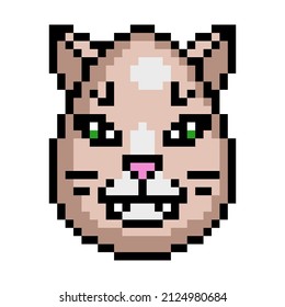 Cute Pixel art Easter egg decorated as a cat or a kitten, 8 bit icon isolated on white background. Ovoid animal head avatar. Old school vintage retro 80s, 90s 2d video game, slot machine graphics.