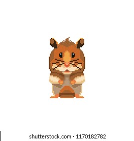 Cute pixel home mouse