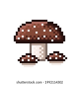 Hongos de píxeles finos. Ilustración vectorial. Arte píxel hongos.