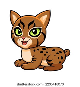 Cute pixie bob cat cartoon