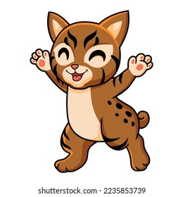Cute pixie bob cat cartoon