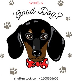 Cute Placement Engineered Print With A Vector Illustration Of A Dapper Preppy Black Dachshund Dog Puppy In A Red Bow Tie With Lettering Words Who's A Good Dog? Surrounded By Paw Prints