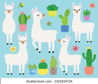 Cute plain white llamas or alpacas and cacti vector illustration set.