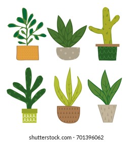 cute plant collection