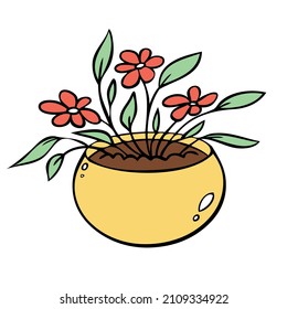 Plantas ricas en una maceta de flores. Ilustración vectorial de plantas interiores