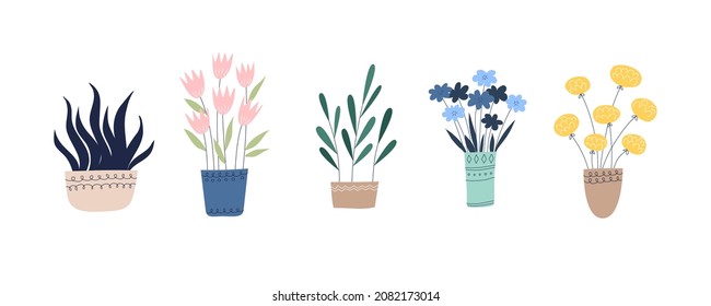 Cute plant flowers in beautiful vases. White background. Various isolated flowers and vase, pot. 