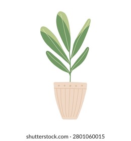 Cute plant in a pot, hand drawn. Cute skincare wellness element. Hand drawn vector in simple style