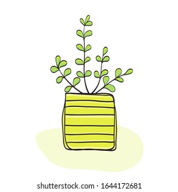 Cute Plant Vector, Small Plant In Pot Succulents Or Cactus.  Hand Drawn Plant Illustration On Pot.