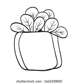 cute plant vector, small plant in pot.  hand drawn plant illustration on pot.  Black and white illustration for coloring book.