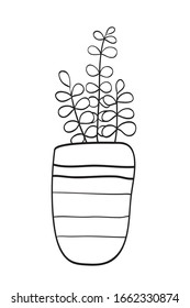 cute plant vector, small plant in pot.  hand drawn plant illustration on pot.  Black and white illustration for coloring book.