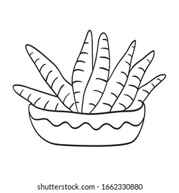 cute plant vector, small plant in pot.  hand drawn plant illustration on pot.  Black and white illustration for coloring book.