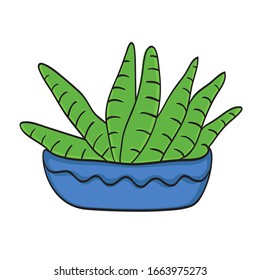 cute plant vector, small plant in pot succulents or cactus.  hand drawn plant illustration on pot.