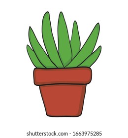lindo vector vegetal, pequeña planta en succulentos de olla o cactus.  ilustración de planta dibujada a mano en la olla.
