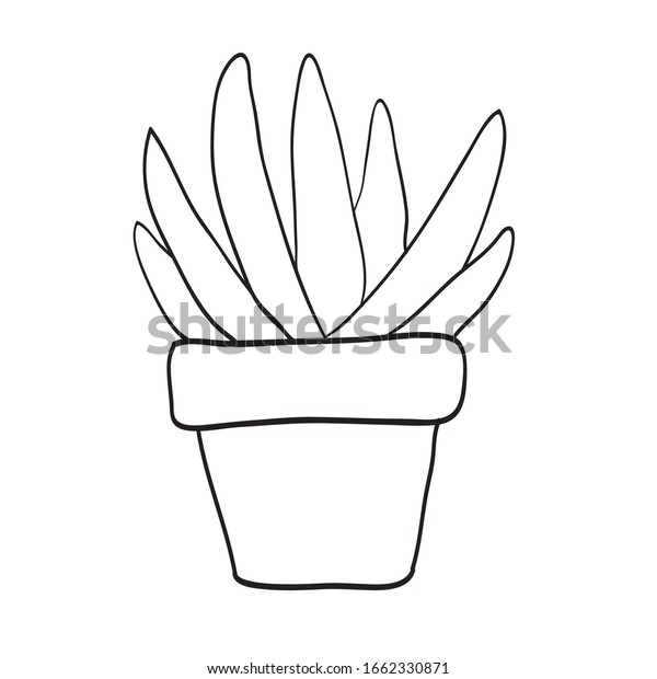 鉢に小さな植物の かわいい植物のベクター画像 鍋に手描きの植物イラスト 塗り絵本用の白黒のイラスト のベクター画像素材 ロイヤリティフリー
