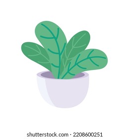 cute plantpot design over white