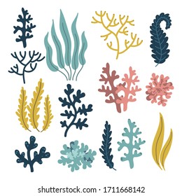 Cute Plants And Coral, Underwater World Elements Set, Sea Of ​​ocean, Vector Illustration 