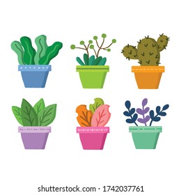 Cute plants on pot/vast vector, Home plants flat vector set. Collection of different flowers in colorful flowerpots isolated on white background. Decoration and nature concept