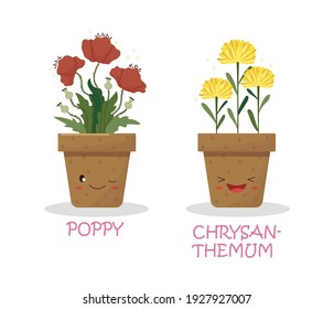 Cute plants in pots and with names. Vector graphics.