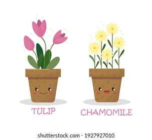 Cute plants in pots and with names. Vector graphics.