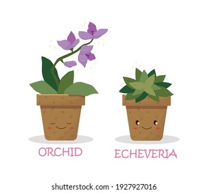 Plantas pequeñas en macetas y con nombres. Gráficos vectoriales.
