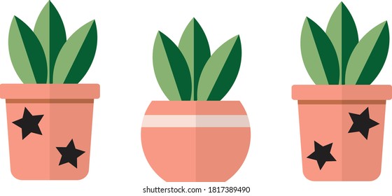 Cute plants in terracotta pots, two designs of plants with green leaves and a brown pot on them. Decoration. Gardening and fresh houseplants that needs care. Greens in the house, potted plants. 
