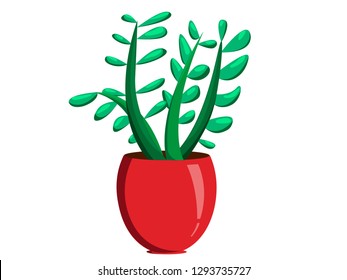 Cute plants in a vase