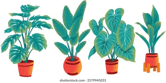 Cute plants vector set. House plants in ceramic pots. Decorative indoor plant collection isolated on white. Colorful houseplant design illustration.