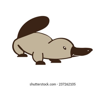 Cute platypus