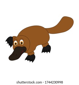 cute platypus animal illustration design