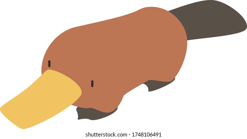 Cute platypus Cartoon, Vector illustration platypus on a white background. Drawing for children