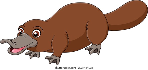 Cute Platypus Cartoon, Vektorgrafik