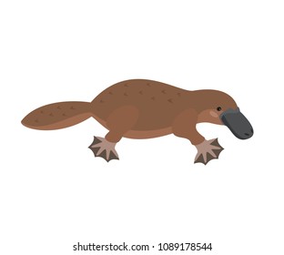 Cute platypus on white background. Vector illustration.