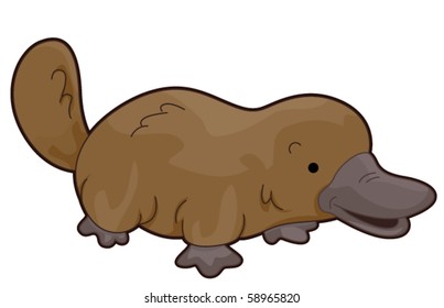 Cute Platypus - Vector