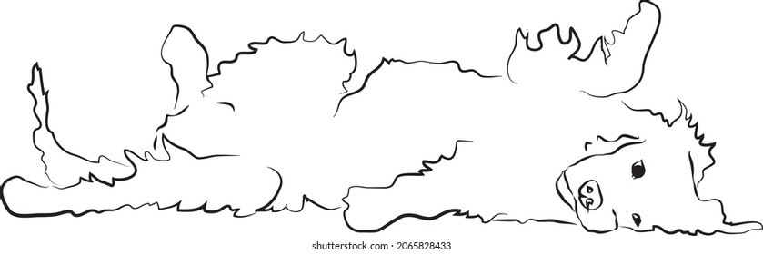 Cute playfol dog vector drawing