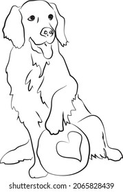 Cute playfol dog vector drawing