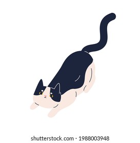 Cute playful cat with plaintive look asking and calling for playing game. Sweet kitty raising eyes and tail up. Adorable kitten. Flat vector illustration of feline animal isolated on white background