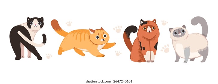 Jogo de gatos divertidos bonitos. Vários felinos isolados sobre fundo branco. Ilustração de vetor plano.