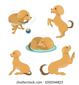 Cute playing dog character funny purebred puppy comic happy mammal breed animal character vector illustration.