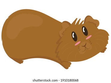 cute plump brown guinea pig lies with outstretched paws, cute domestic rodent, vector illustration in flat style