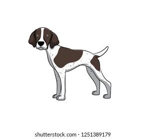 Cute Pointer Cartoon Dog. Vector illustration of purebred pointer dog.