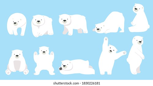 Cute Polar bear funny character cartoon set