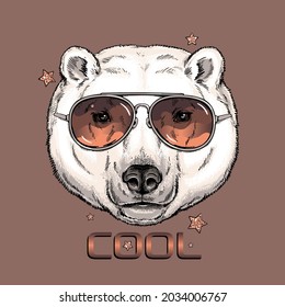 Cute polar bear in sunglasses. Vector illustration. Stylish image for printing on any surface