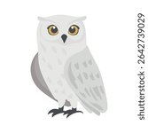 Cute polar owl. Flat vector clipart, illustration with isolated background.